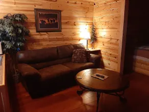Evening Star at lodge-WIFI/swim pool/htub/firepit - Image 5