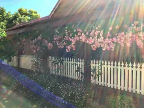 Historic Schoolhouse Rockley - Image 2