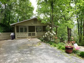 Treetop Lucerne Chalet Mountain Views & Downtown Asheville, Dog Friendly - Image 4