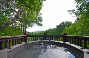Soaring Eagle Bryson City - Image 3