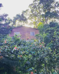Villa With Pool Jarabacoa - Image 2