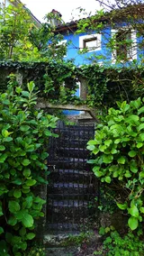 Home adventure - Image 5