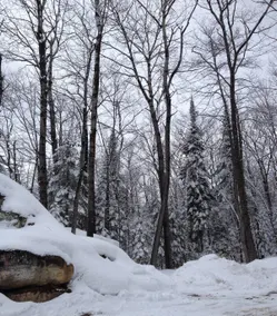 Chalet Nature et Spa (just 15 min from Gatineau) - Image 3