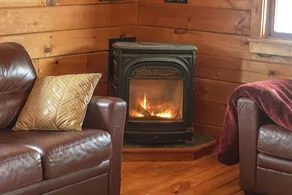 Cedar Cabin: Dog friendly cabin w/ private hot tub - Image 3