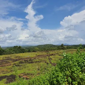 Kasaragod Village - Image 2