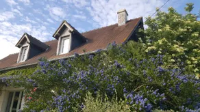Beautiful cottage in a bucolic setting - Image 2