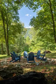 Shenandoah Sanctuary/Mountain Retreat w/Starlink - Image 5
