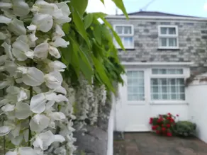 Agan Dyji - Boutique Cornish Cottage -Dog Friendly - Image 4