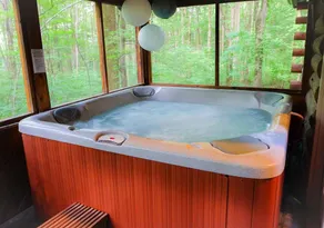 Wildwood Hill Cabin. Secluded in Woods. Hot Tub - Image 3