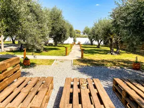 Oliviera - House in Nature - Image 4