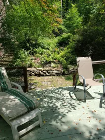 Charming Creek side Getaway 3.5 mi. from Omega - Image 2
