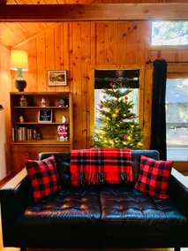 Stylish, cozy, CLEAN Cabin in Pinecrest/Strawberry - Image 3