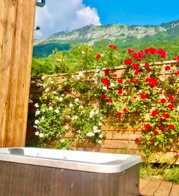 Chalet Hope - with private SPA & garden. - Image 3