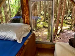 ”Forest Den” Near Ruby Beach, Off-grid - Image 2