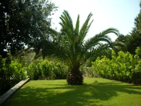 Appartamento Sole e Mare - Image 3