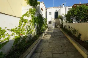 Two Olive Trees - Image 2