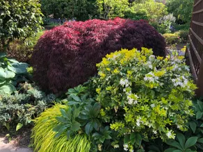 Modern Lush Garden Oasis - With private entrance - Image 3