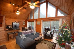 Privat hytte på 11 hektar, 1500ft af Stocked Trout Stream, WIFI, Hot Tub - Image 5