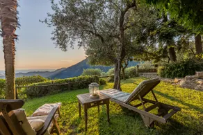 Borgo Metato – Olive Grove - Image 2