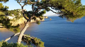 Charming T2 on the Blue Coast- Ensuès la Redonne - Image 3