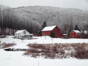 Farmhouse Oasis in the Hudson Valley, Stream Views - Image 5