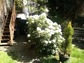 ** Apartment in the World Heritage Site near the Loreley - Image 5