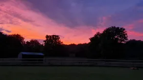 Amberley Farm - Image 2