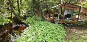 'Sleepy Hollow'Romantic cottage in idyllic garden - Image 5