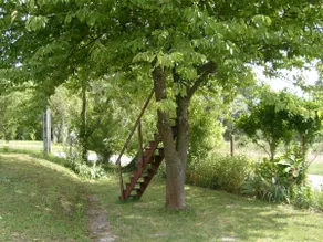 Petite maison au bord du canal, 8' Zoo de Beauval, PMR - Image 4