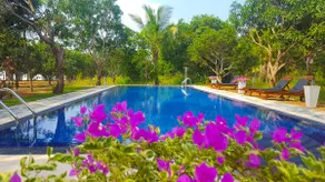 Dambulla Hills Mango Chalets - Image 3
