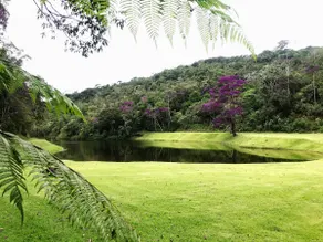 Santa Paula Farm - Marechal Floriano, ES. - Image 3