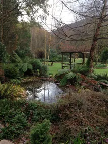 Shadybrook Alpine Apartment and garden - Image 2
