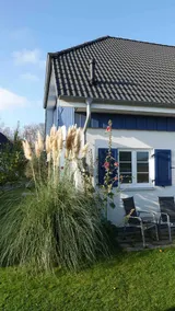 Altefähr - seaside resort on Rügen on the Strelasund - Image 2