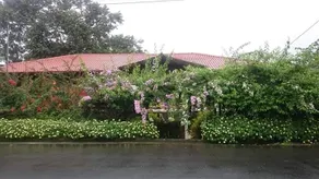 House by the river in the Amazon. Garden-Cotundo - Image 3