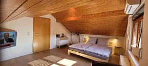Above the rooftops of Kaiserstuhl - Image 3