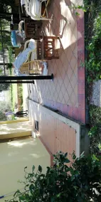 Casale Fernando - Image 3
