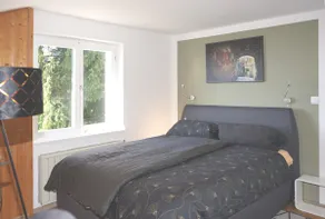 Haus Bregenz Apartment Bodensee - Image 3