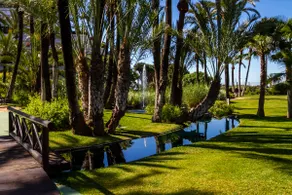Pto. Banús, beachfront, 35.000sqm of lovely garden - Image 3