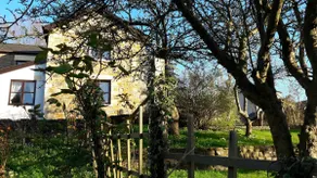 The Whitehouse in the Forest of Dean - Image 3