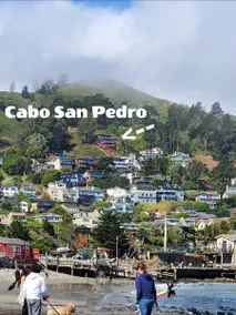 Cabo San Pedro - 1 bed - Stunning Ocean Views - Image 2
