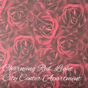 Charming Red Light City Centar apartment - Image 2