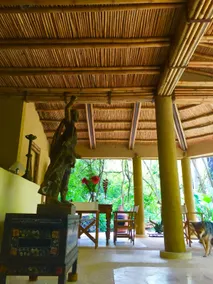 Royal turkey sanctuary. Casa Chalacas - Image 5