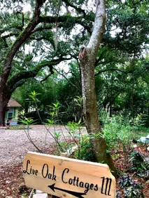 Live Oak Cottages III. InTown - Nature Retreat - Image 5
