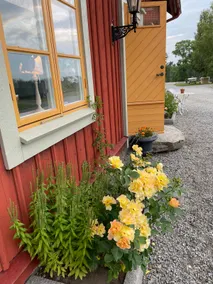 Charming newly renovated brewery! - Image 2