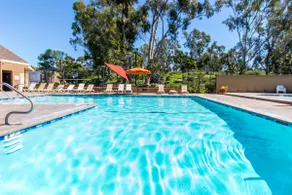 Luxury near the beach 40 acres nature parks nearby - Image 5