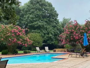 Bentonville Backyard Oasis - Image 3