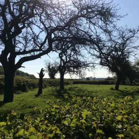 Orchard Cottage - Image 4