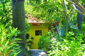 Villa Amarilla with stunning Pacific Ocean views - Image 2