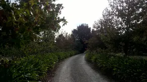 Pigeon Bank Country Cottage - Image 5