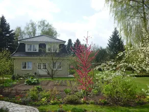 Villa on the city border to Berlin - Image 2